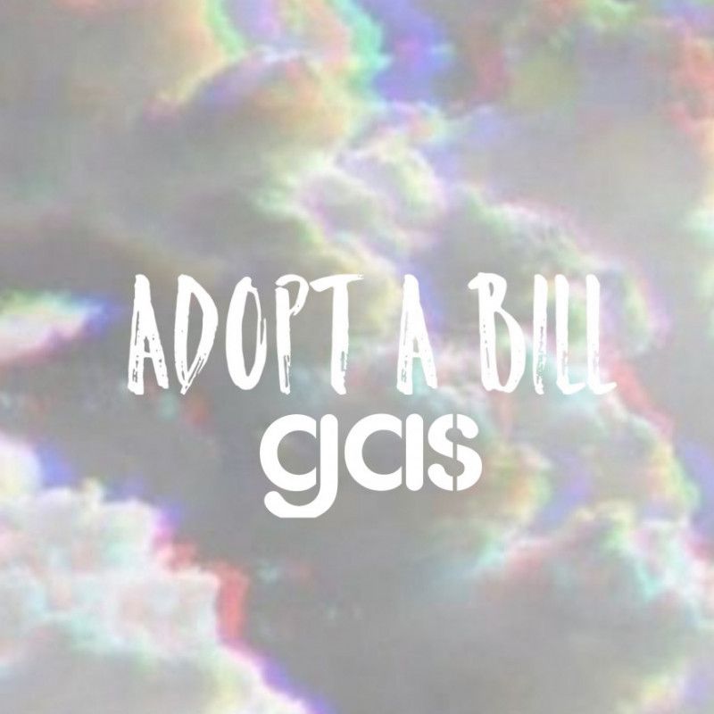 Adopt a Bill: gasoline