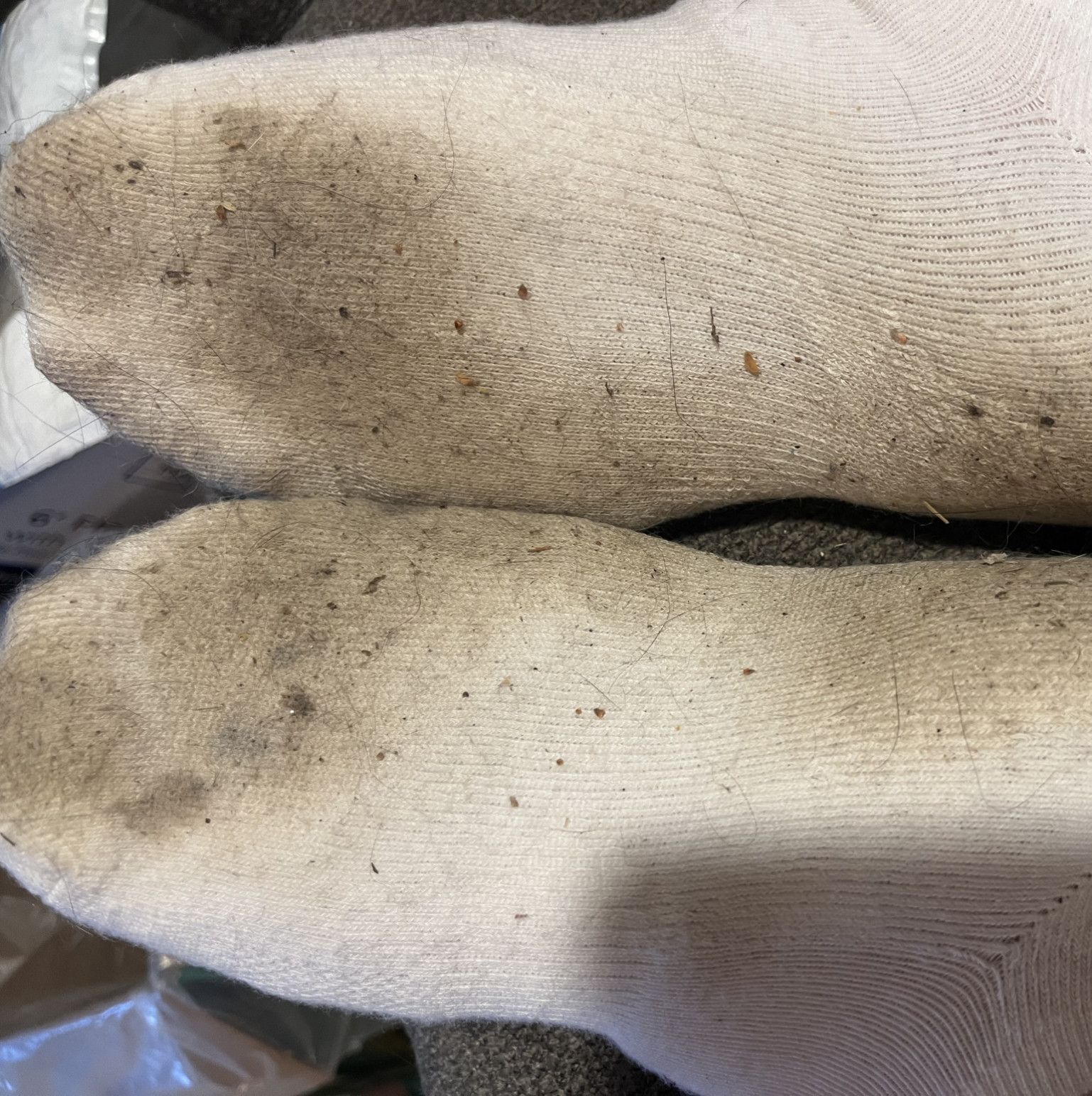 Dirty smelly socks