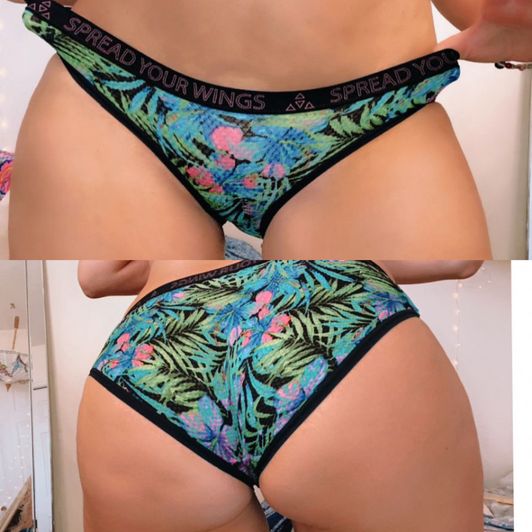 Tropical full back panties
