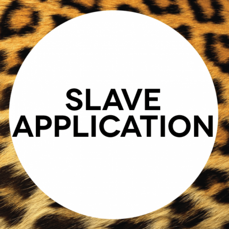 Slave Application