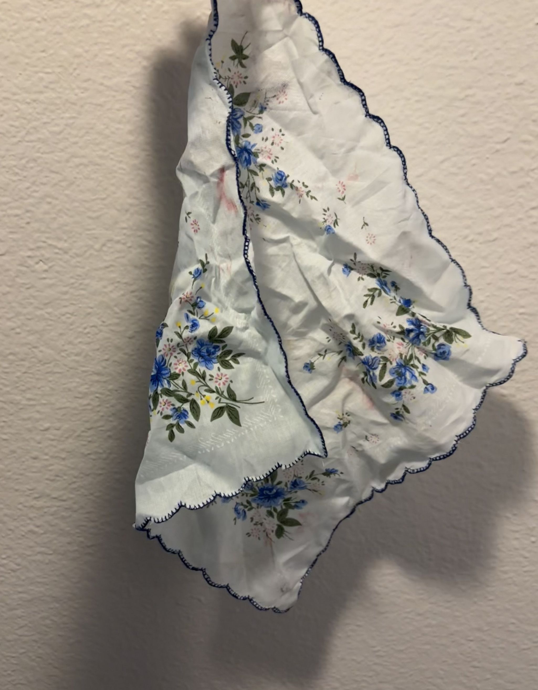 USED handkerchief from clips!