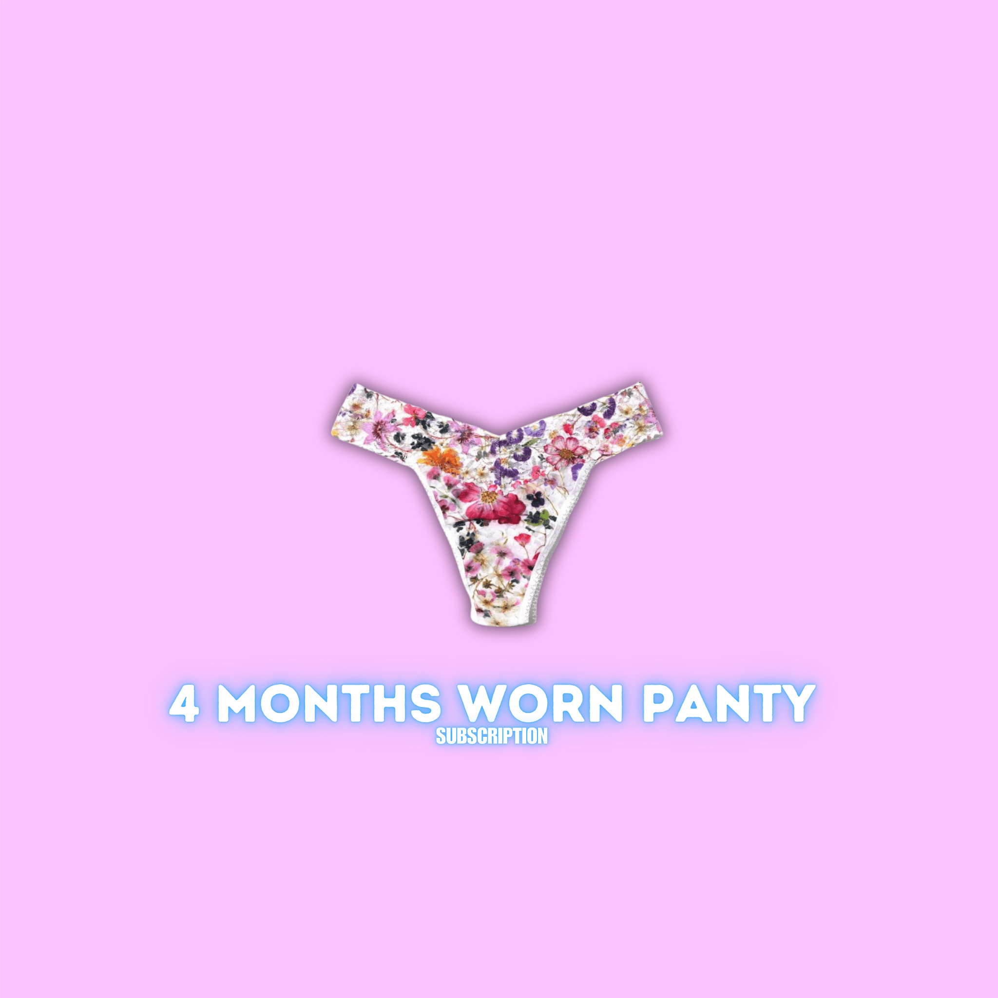 4 Months Worn Panty Subscription