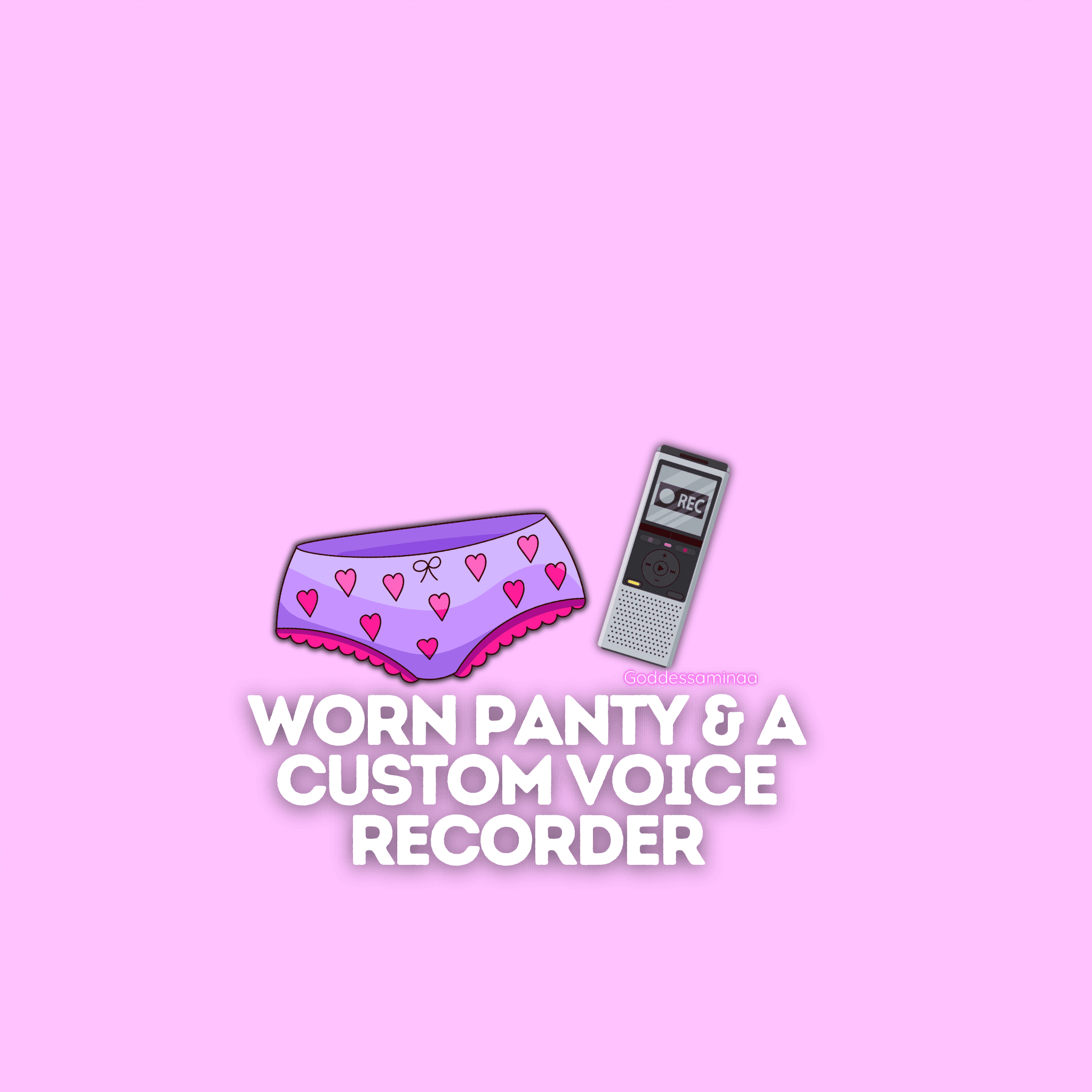 Worn panty and a custom voice recorder