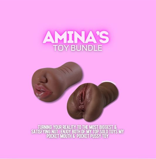 Aminas Pocket Toy Bundle