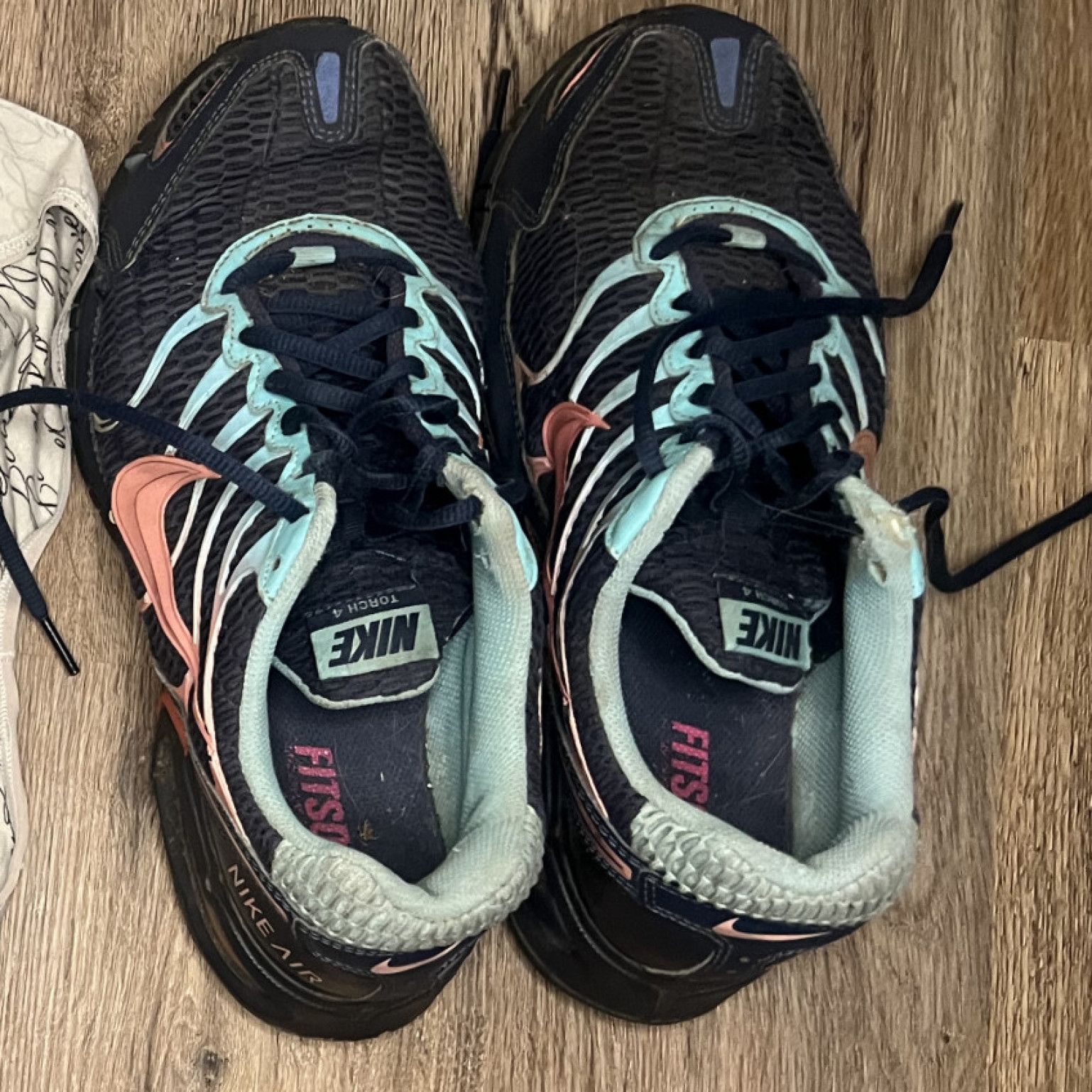 My Old Stinky Running Shoes