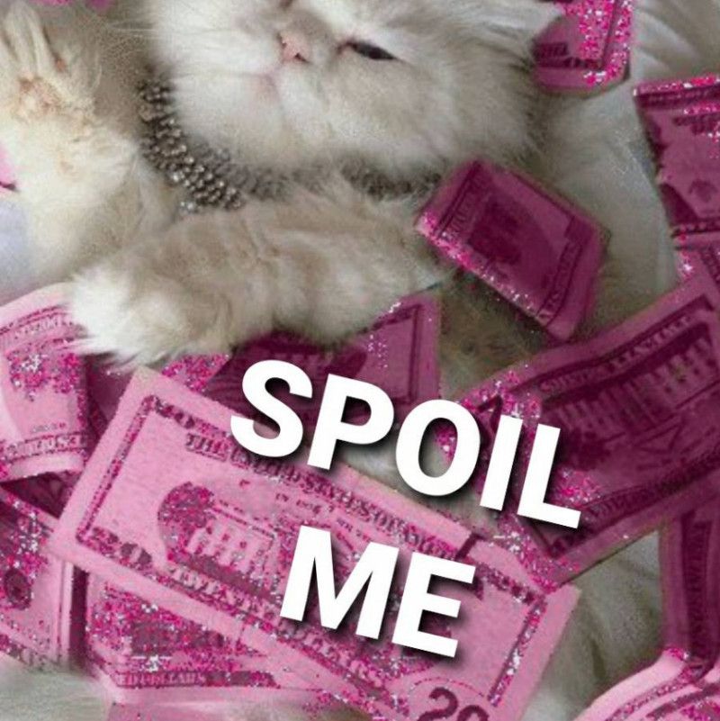 SPOIL ME!!