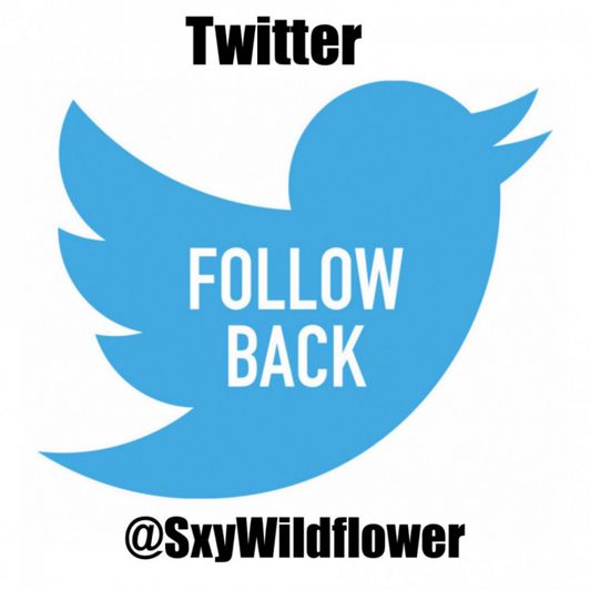 Follow Back In Twitter