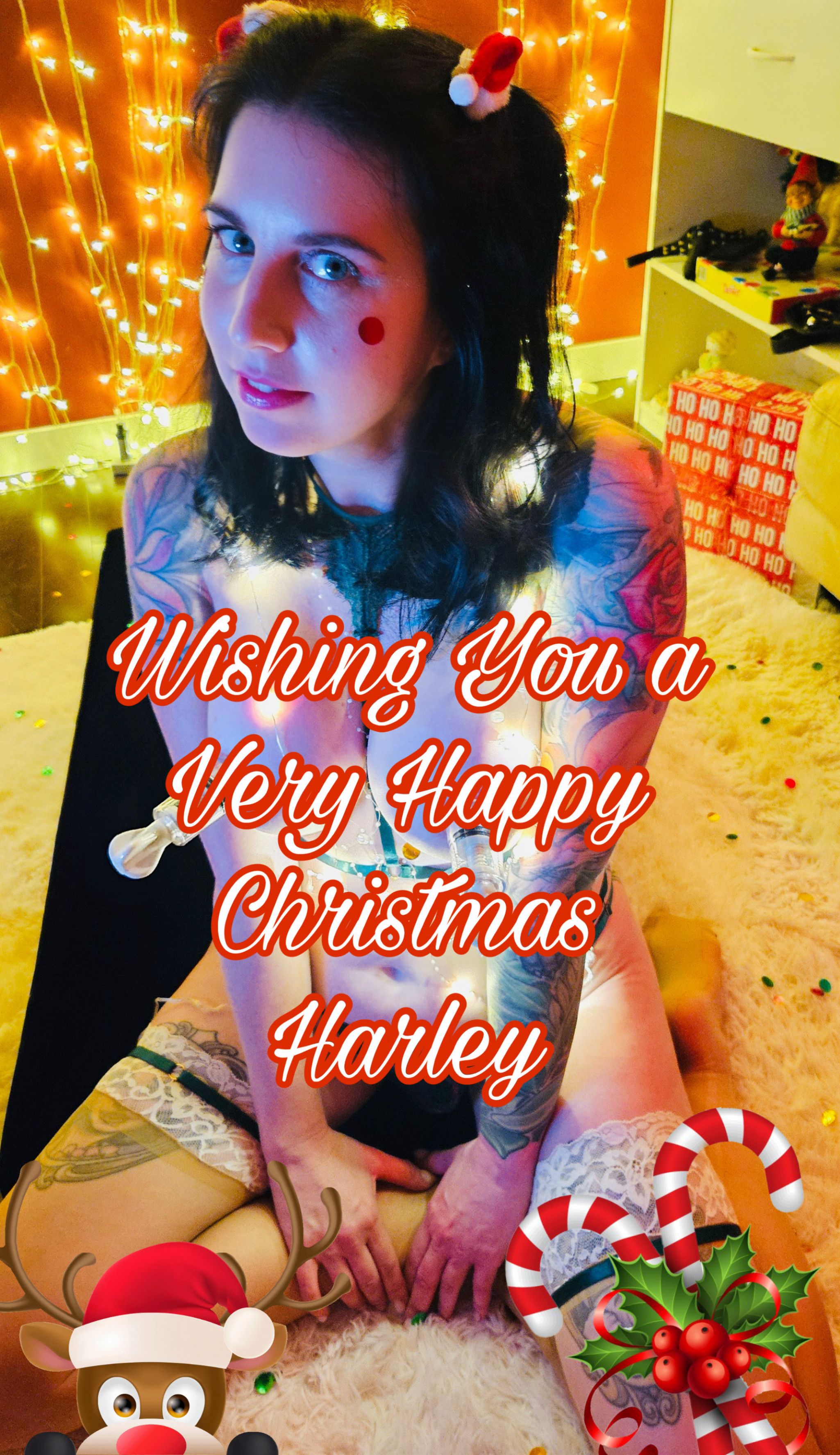 Happy Christmas Harley