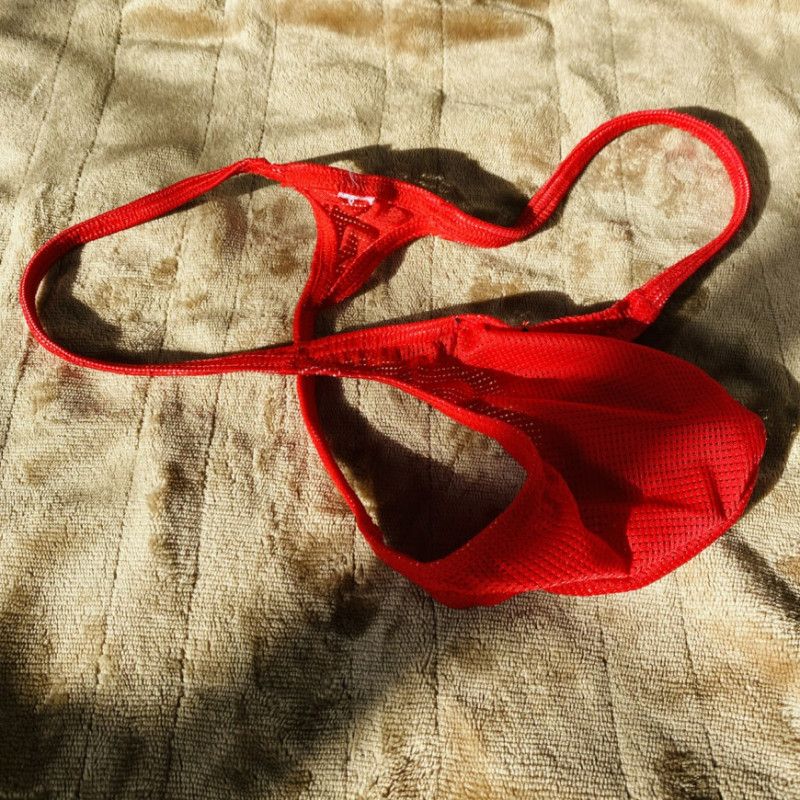 harleys male thong