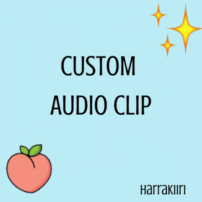 CUSTOM AUDIO CLIP