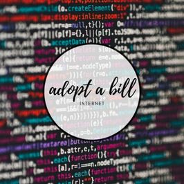 Adopt A Bill: Internet