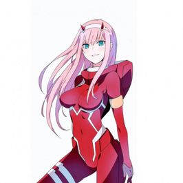 Buy Me Zero Two Cosplay