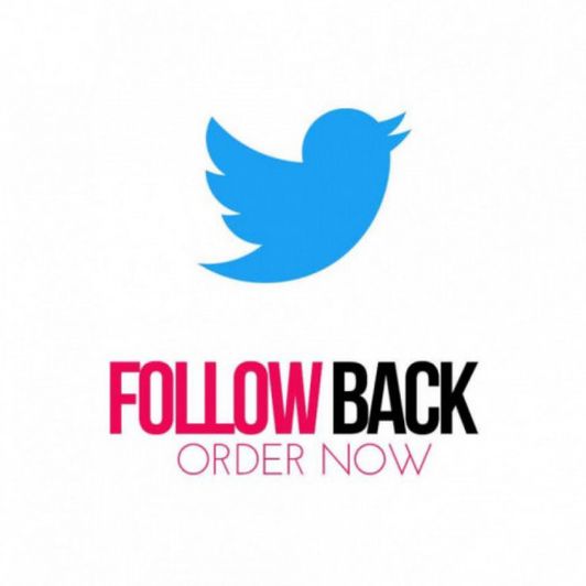 FOLLOW BACK on TWITTER