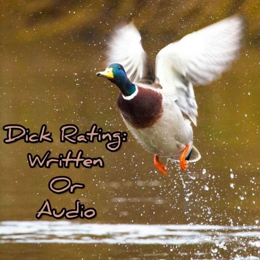 Dick Rating: Audio OR Written