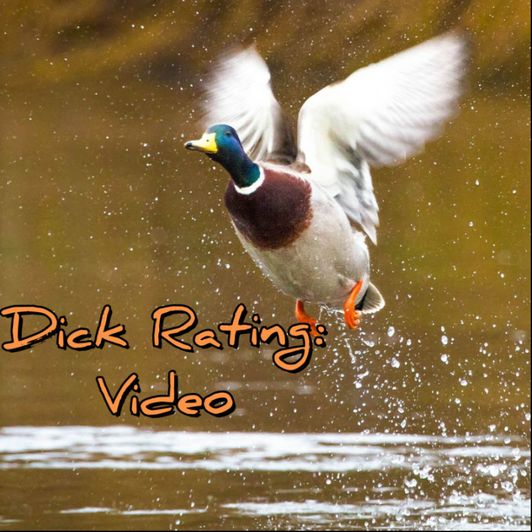 Honest Dick Rating  Video