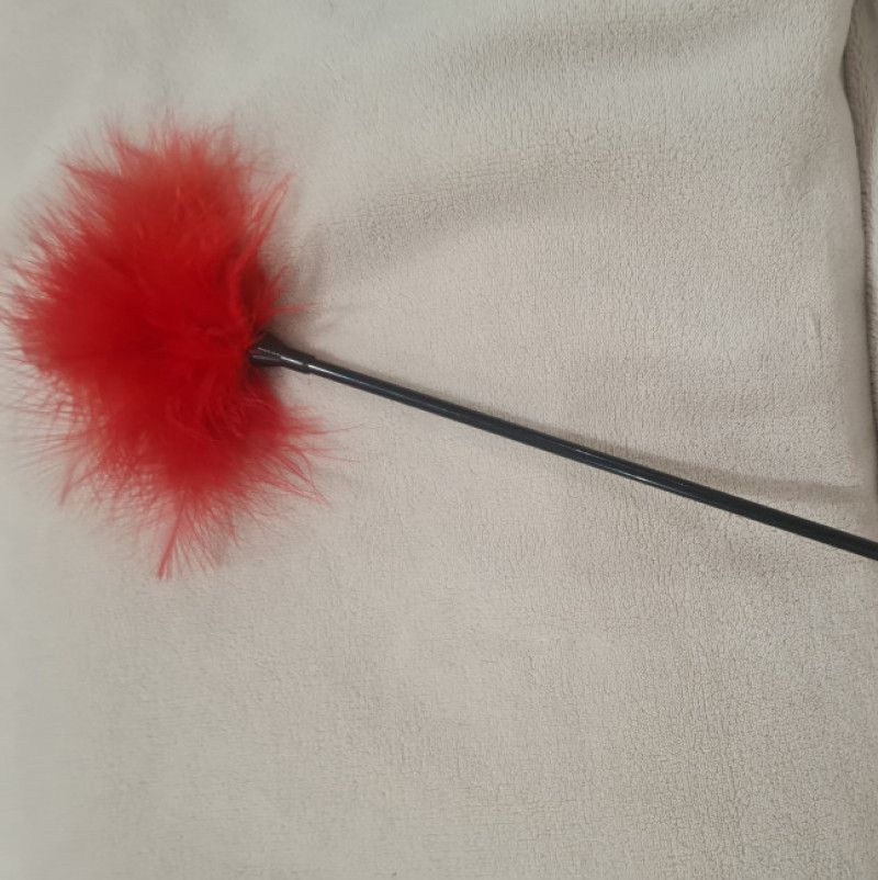 Feather Duster