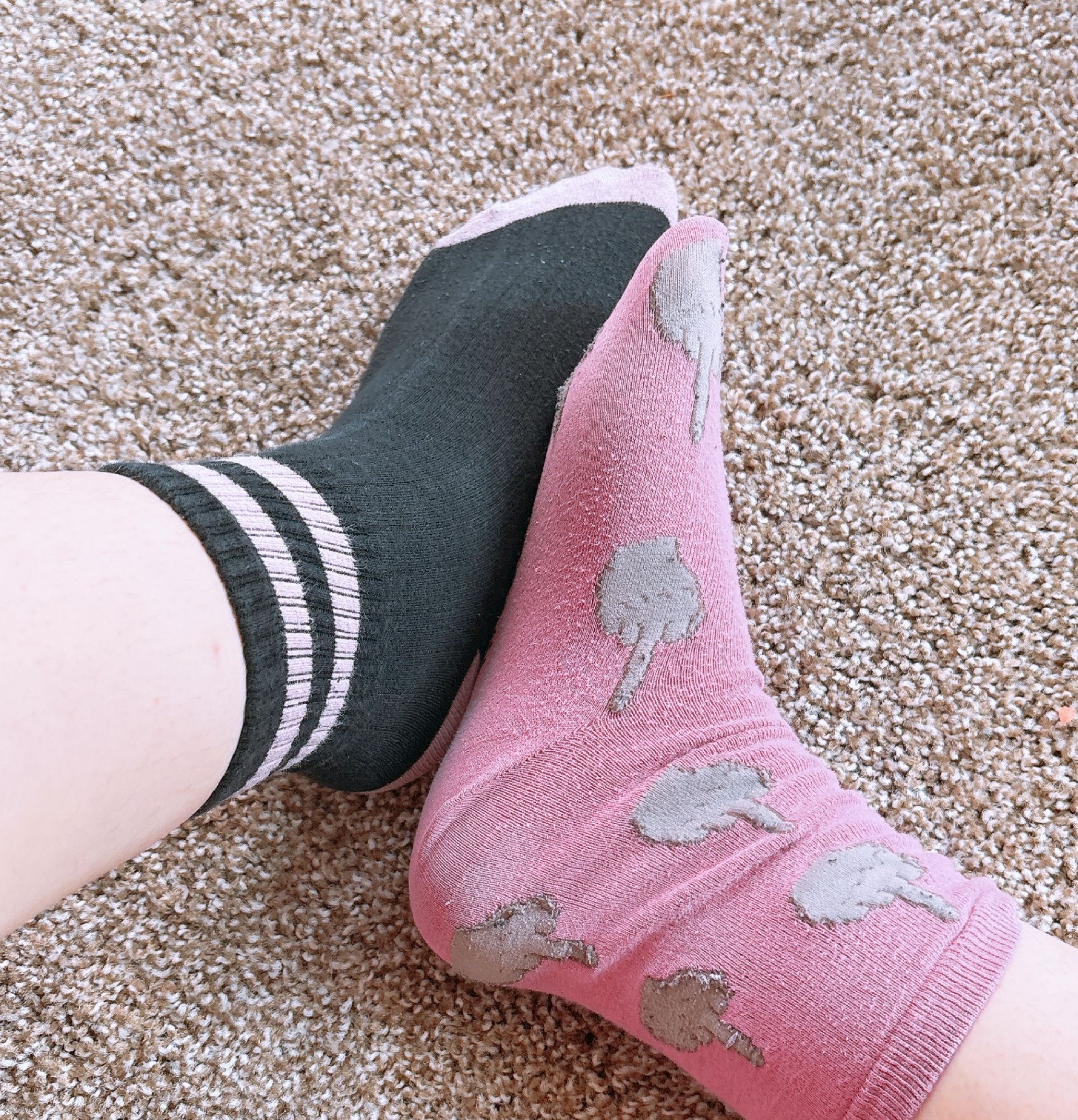 Worn Mismatched Socks FREE SHIPPING