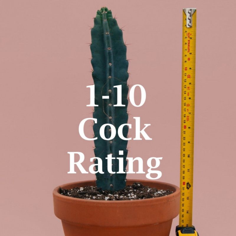 Simple Cock Rating