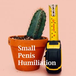 Small Penis Humiliation