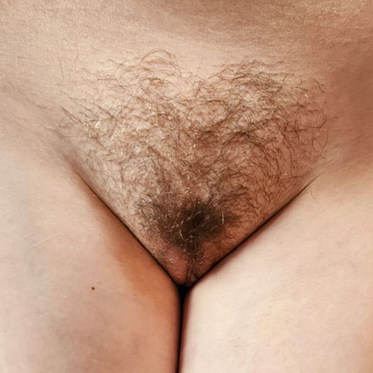 ALL of my pussy pubes