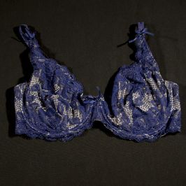 Blue  Beige Lace Bra unlined