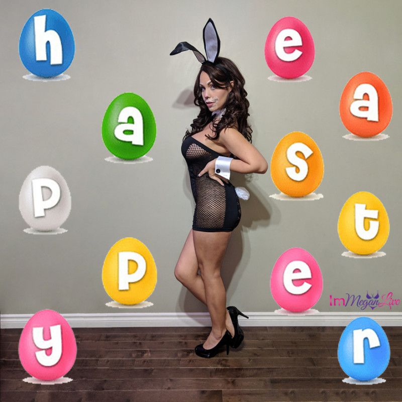 Bunny Costume accessories with thong