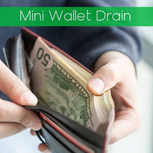 Mini Wallet Drain