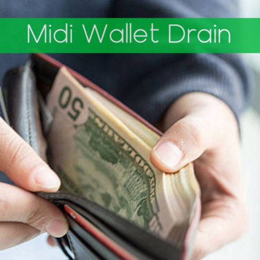 Midi Wallet Drain