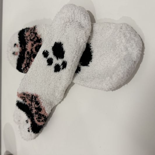 Cute Doggy Socks