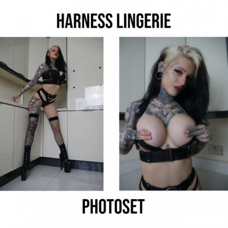 Harness Lingerie Photoset