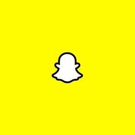 SNAPCHAT lifetime