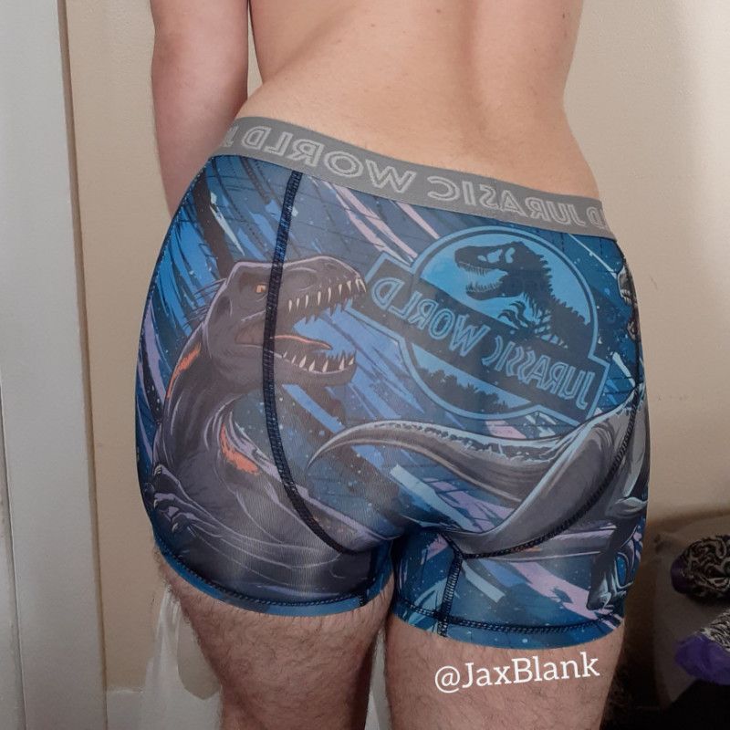 Jurassic Park Boxers: Custom Worn Boxers