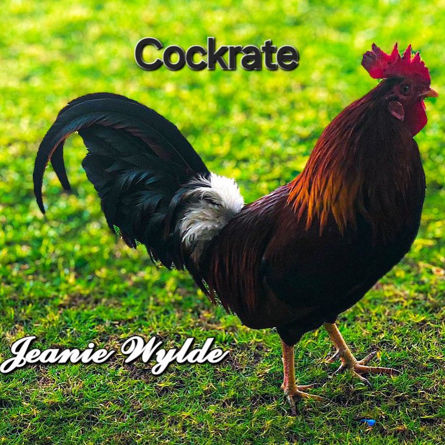 Cockrate