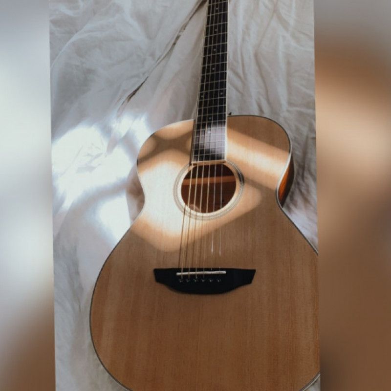 Acoustic guitar