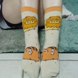 AWESOME Pusheen Tiger and Lion Socks!!!