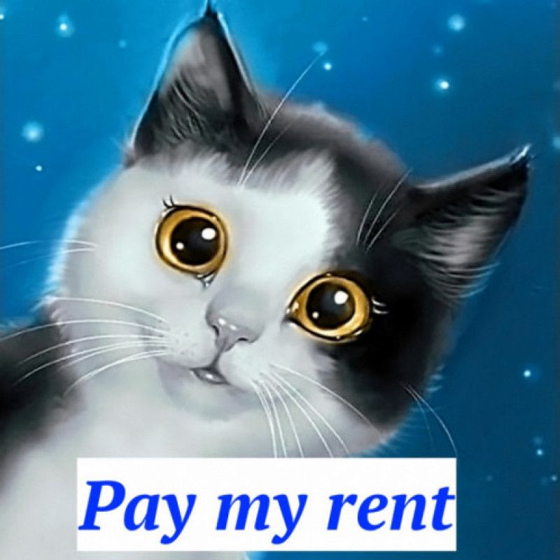 Pay my rent