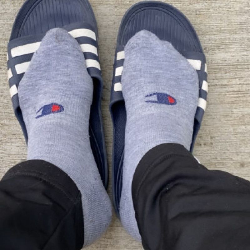 Champion socks