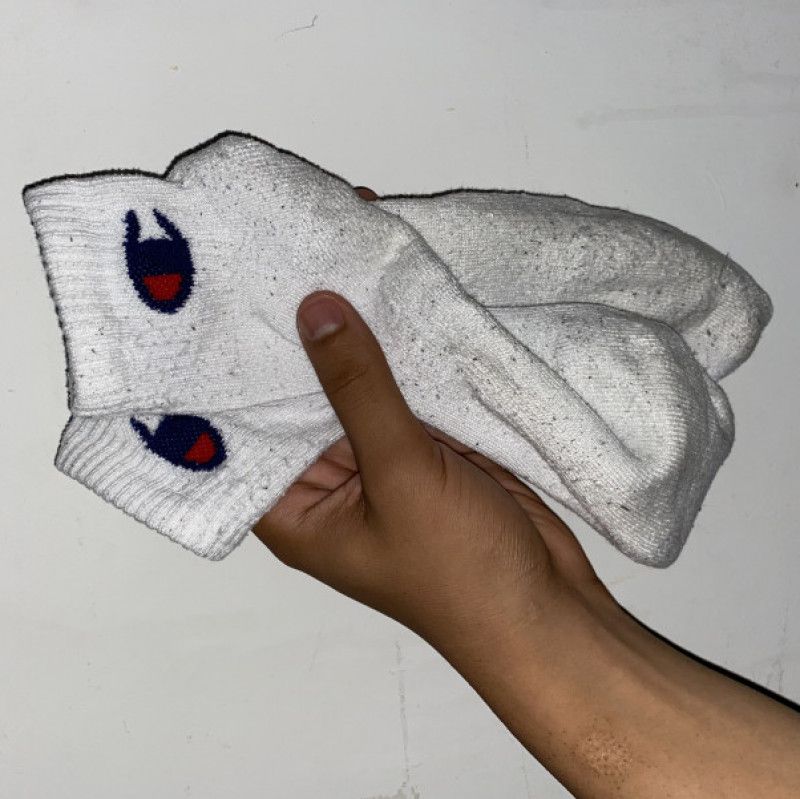 Champion socks