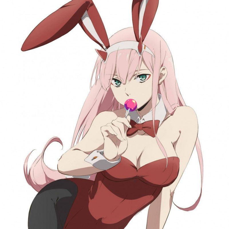 Buy me Zero Two Bunny cosplay and get