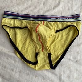 Used Joan Lawson Underwear