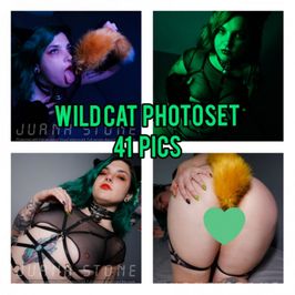 WildCat Photoset