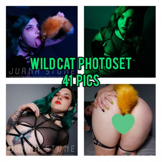 WildCat Photoset