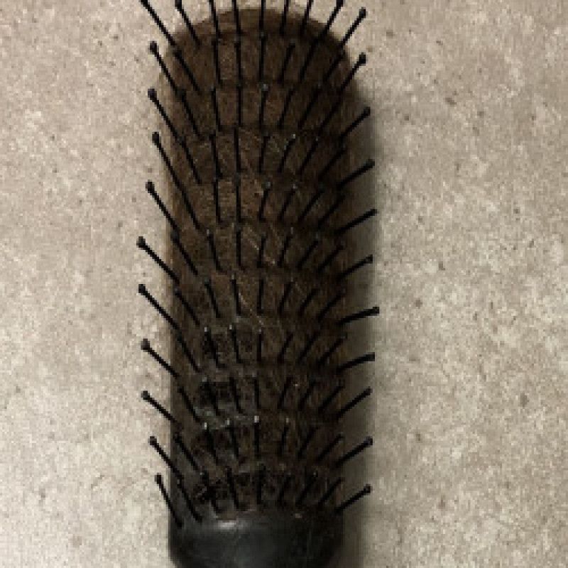 After Shower Brush Full of Hair