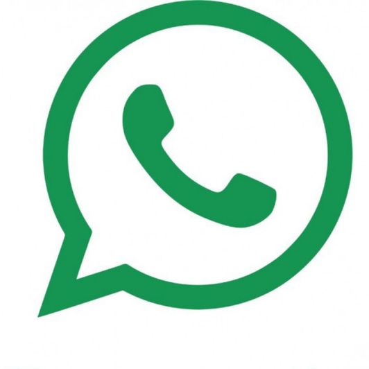 my whats app number