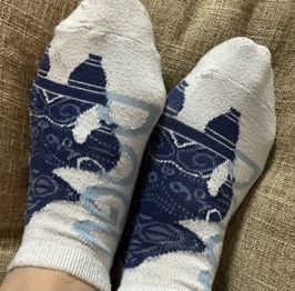 Cute Socks everyday wear