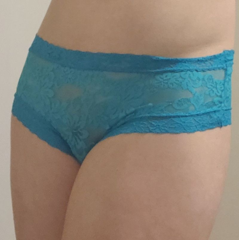 Blue Lace Cheekies