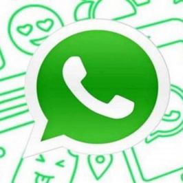 my whatsapp