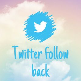 Twitter Follow Back