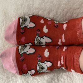 Frenchie Socks