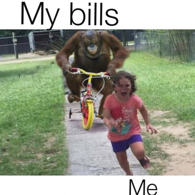 Pay my bills